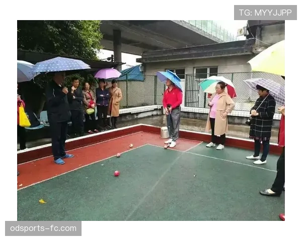 比赛暂停规则详解：裁判如何判定与执行流程分析